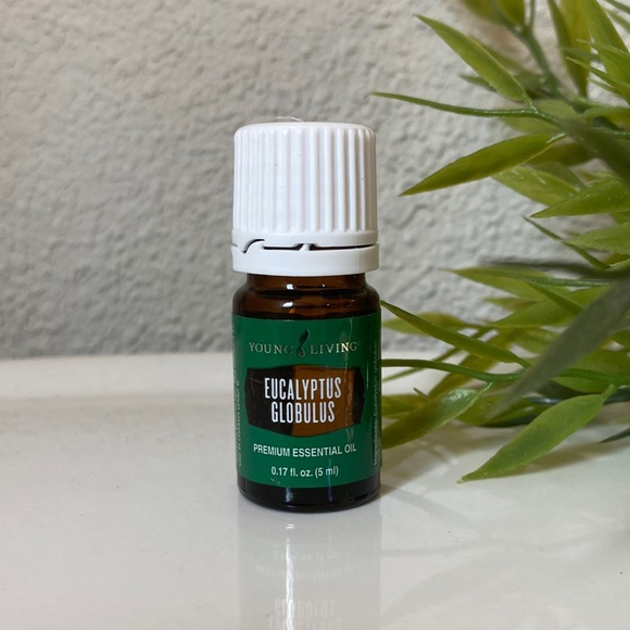 Young Living Eucalyptus Globulus - Picture 1 of 1